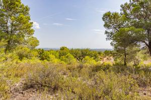 Terreno en venta en Montserrat photo 0