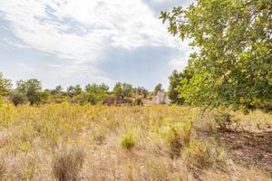 Terreno en venta en Montserrat photo 0