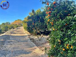 ¡Bienvenido al paraíso rural en Barxeta, Valencia! Parcela Rústica en Venta photo 0