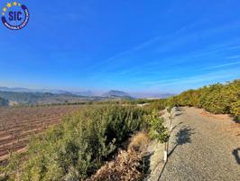 ¡Bienvenido al paraíso rural en Barxeta, Valencia! Parcela Rústica en Venta photo 0