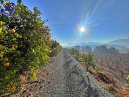 ¡Bienvenido al paraíso rural en Barxeta, Valencia! Parcela Rústica en Venta photo 0