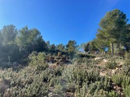 Venta de Terreno de 9.098 m² en Godelleta, Valencia photo 0