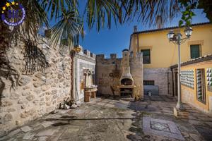 casa de pueblo con dos viviendas en Castrillo de Duero zona de Peñafiel.Valladolid photo 0