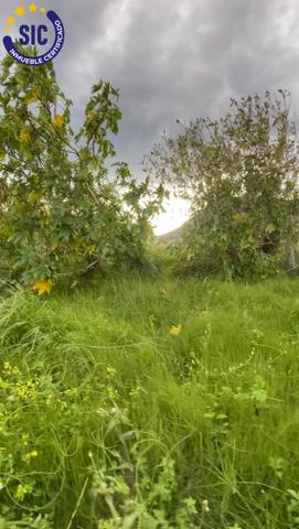 Terreno Urbanizable En venta en Costa De Valencia, Tavernes De La Valldigna photo 0