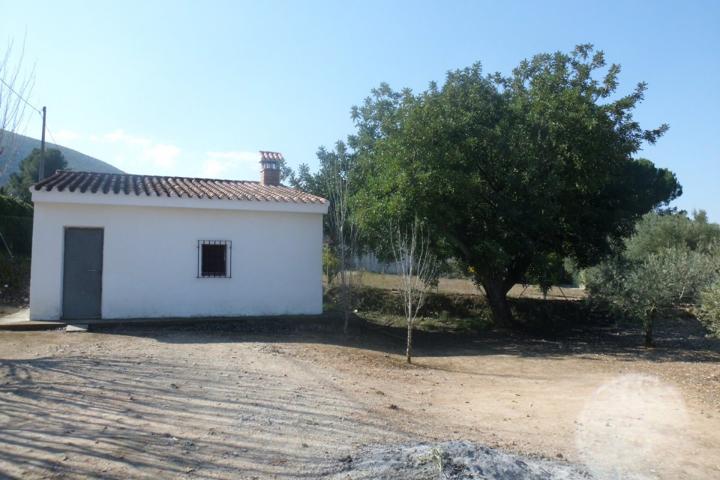 Terreno en la Ca Pallús - Ontinyent photo 0