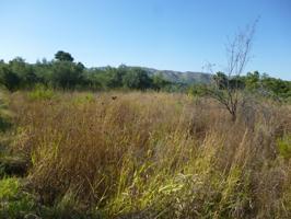 Terreno en Camí Vell d' Agullent - Ontinyent photo 0