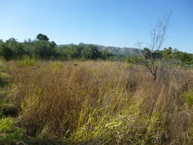 Terreno en Camí Vell d' Agullent - Ontinyent photo 0