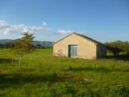 Terreno en Camí Vell de Alfafara photo 0