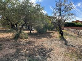 Parcela en suelo urbanizable - Ontinyent photo 0