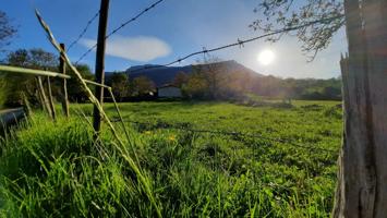 Terreno para construir vivienda en el pueblo de Luengas, junto a Santiago de Tudela photo 0