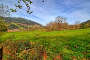 TERRENO RUSTICO EN BALMASEDA photo 0