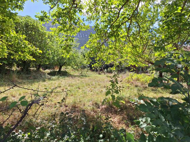 TERRENO URBANO DE LICENCIA DIRECTA photo 0