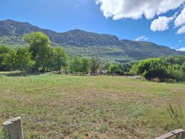 FINCA RUSTICA photo 0