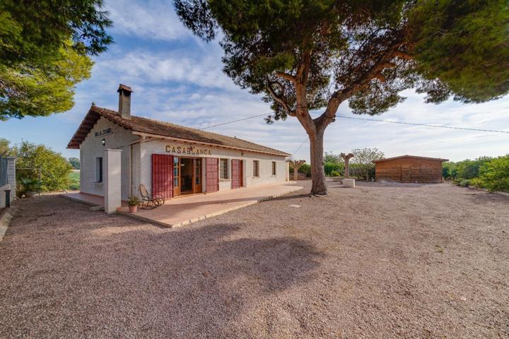 CHALET EN LA DAYA EN FINCA DE 13.000 M2 photo 0