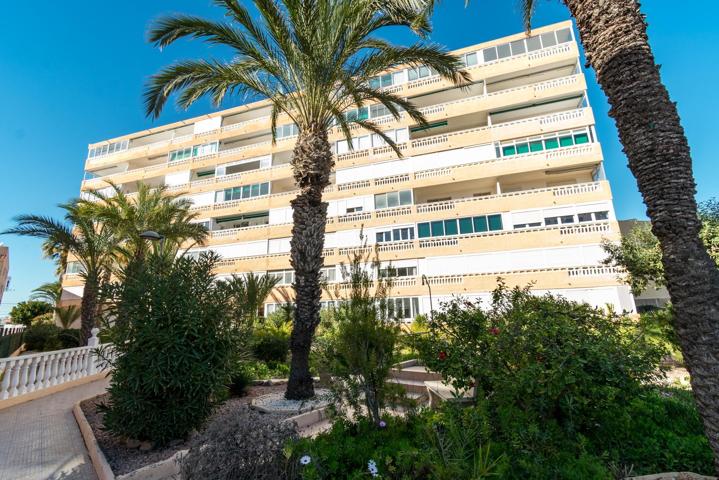 Apartamento con gran terraza en la Playa de la Mata photo 0