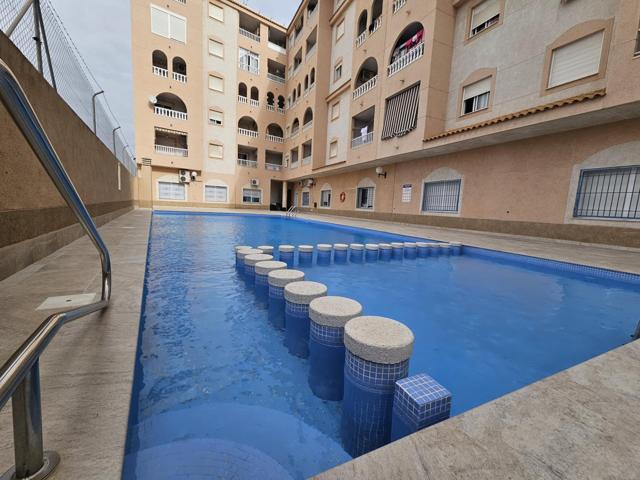 🌞 Apartamento en Torrevieja - Zona El Molino, junto al Parque de las Naciones y Consum 🌞 photo 0