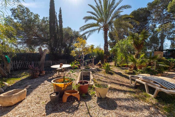 Chalet Gran Parcela en Orihuela Costa photo 0