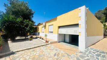 Bonito chalet en una planta en Algorfa photo 0