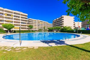 APARTAMENTO DE 1 DORMITORIO CON CAMAROTE. VISTAS A LAS PISCINAS. ED. JEREZ. photo 0
