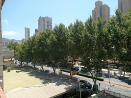 ESPECIAL INVERSORES, PISO CON INQUILINO!!!! photo 0