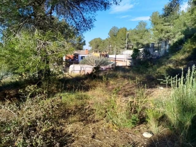 Estupendo terreno en Mas Romeu photo 0