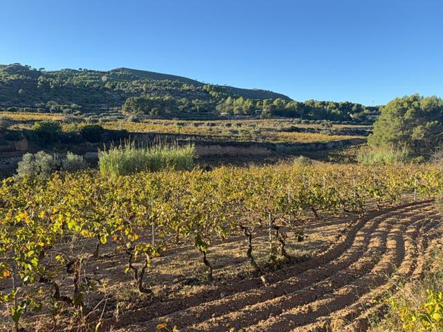 Finca Rustica en Albinyana photo 0