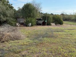 Huerto en Ardeña photo 0