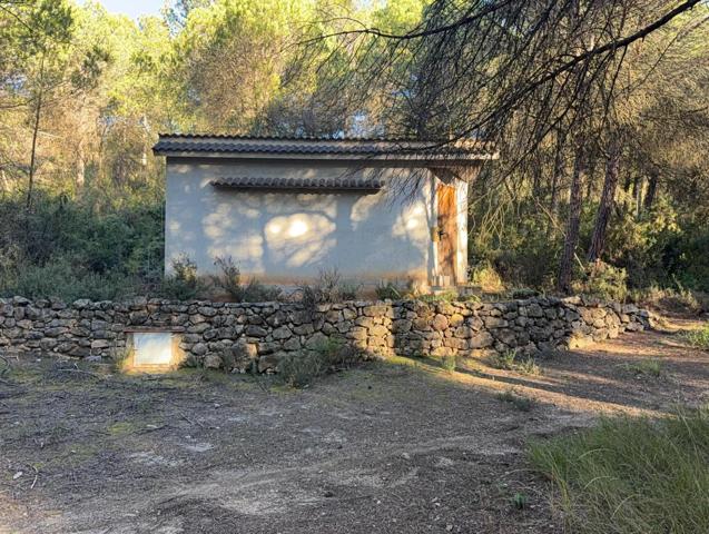 Finca en el Parque Natural del Ordal - Subirats photo 0