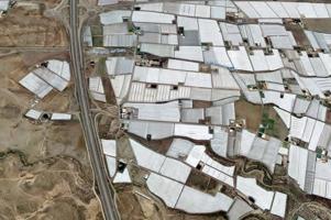 ALQUILAMOS PARCELA PARA ALMACENAJE O DESTINO AGRÍCOLA photo 0