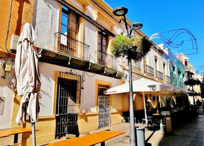 VENTA DE SOLAR EN CALLE PEATONAL EN PASEO DE ALMERIA photo 0