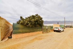 Invernadero a la venta en El Ejido: ¡Oportunidad única para inversores! photo 0