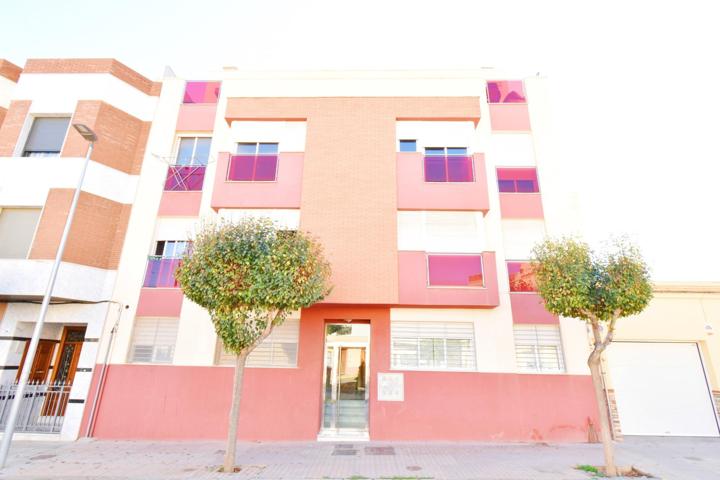 Bajo en el centro de el ejido !!! photo 0