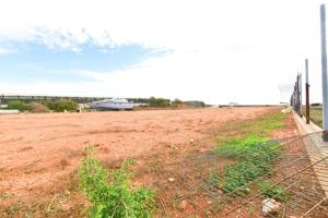 SE VENDE TERRENO DE 8000M² PARA INVERNAR (RUSTICO) EN TIERRAS DE ALMERIA photo 0