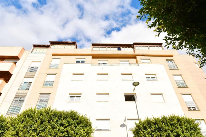 Amplio Piso en el Bulevar de El Ejido photo 0