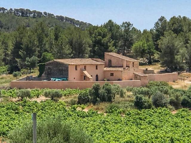 Finca de 67 ha con Masía de 1200 m2 y otra edificación de 600 m2 en Sant Pere de Ribes photo 0