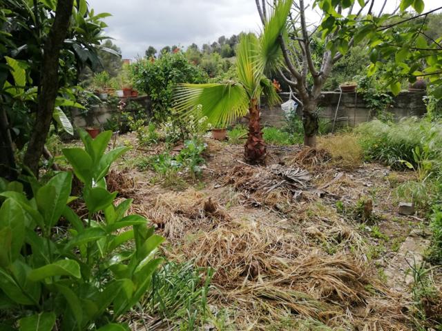 Terreno- parcela a la venta en Esparraguera Mas Den Gall photo 0