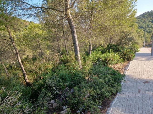 Terreno urbano edificable en venta de 1287 m² en CASTELLET I LA GORNAL photo 0