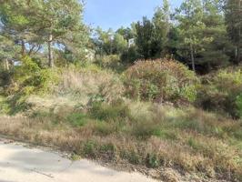 TERRENO EN VENTA EN LA URBANIZACION MASIA DEL SOLÀ (FINCA RUSTICA) MONISTROL DE CALDERS photo 0