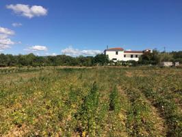 MASIA DEL 1960 CON 39000M2 DE TERRENO AGRICOLA AL LADO DEL MAR DE SANT SALVADOR photo 0