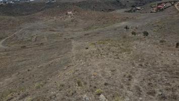 SE VENDE TERRENO EN HOYA FRÍA EN TELDE photo 0