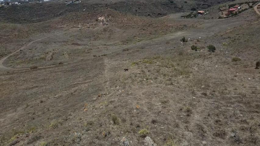SE VENDE TERRENO EN HOYA FRÍA EN TELDE photo 0