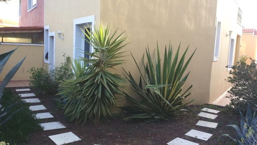 Adeje Pueblo adosado 105 m2 construidos con terraza y jardin 100m2 photo 0