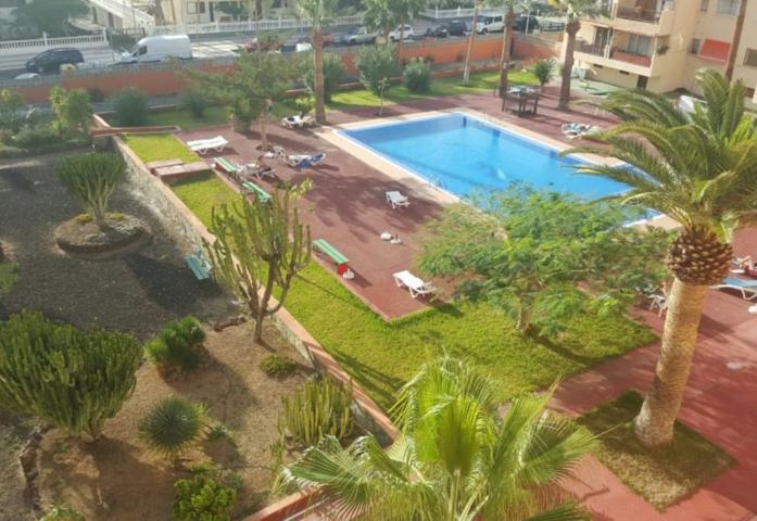 Los cristianos Piso 1 habitacion a 200 metros del mar en urb de calidad photo 0