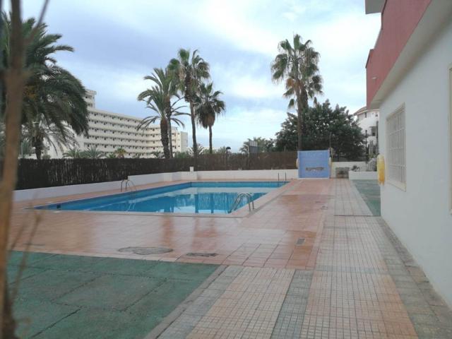 Playa Americas. Piso 1 habitacion en complejo cerrado con piscina photo 0