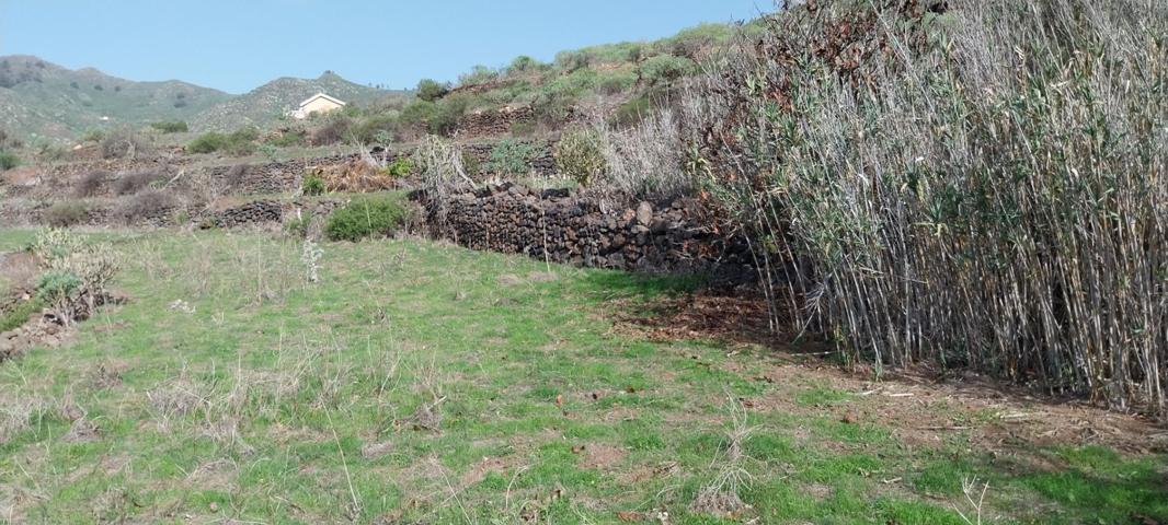 Valle Jimenez (La Laguna): Se vende excelente terrero urbano para edificación photo 0