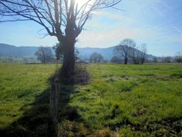 Terreno Rustico en Penagos photo 0