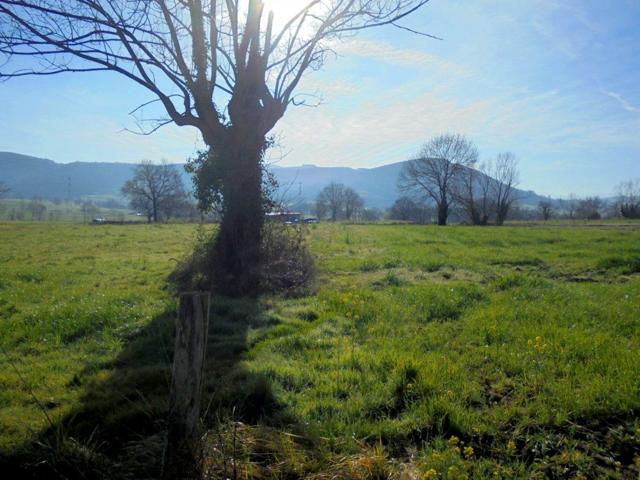 Terreno Rustico en Penagos photo 0