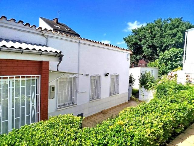 ADOSADO EN PLANTA BAJA photo 0