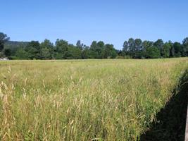 Terreno urbano en Carandía ( Piélagos) photo 0