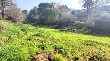 Terreno rústico urbanizable en Obregón photo 0